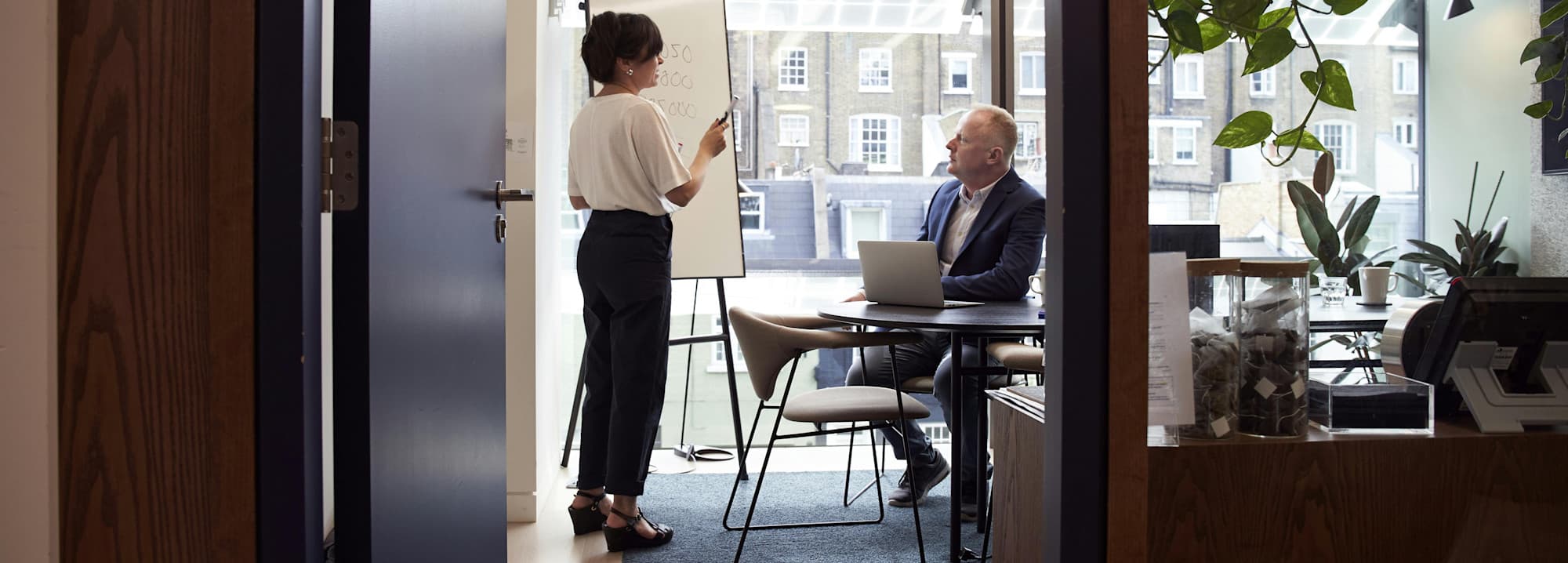 Political Consultant