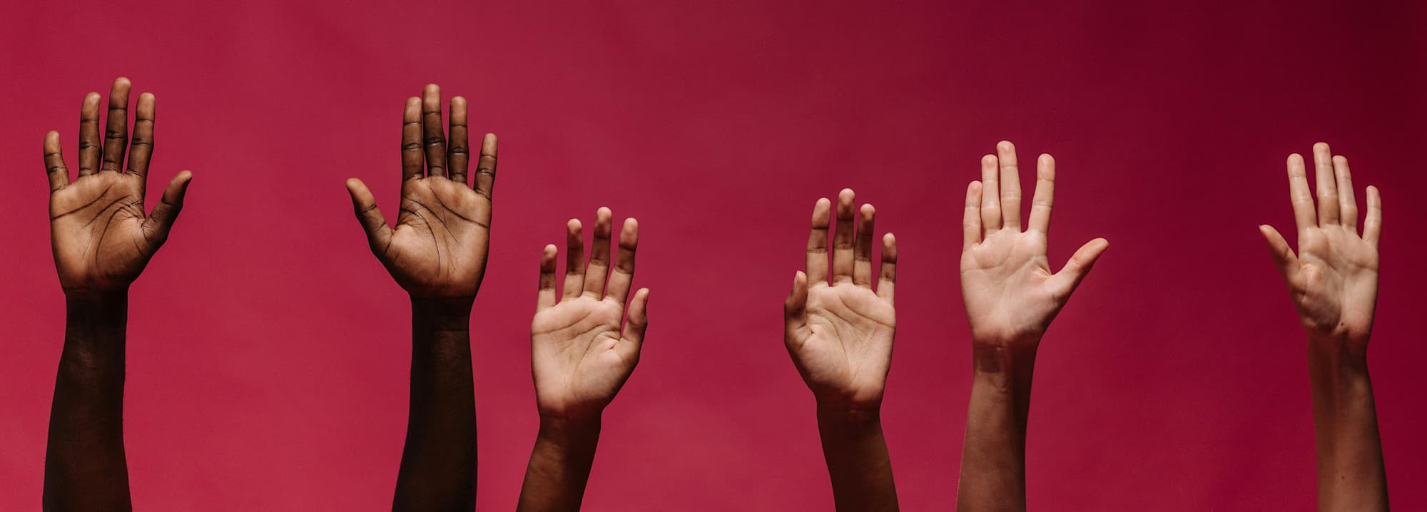 Public Opinion Polls